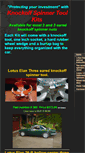 Mobile Screenshot of knockoffspinnertool.com